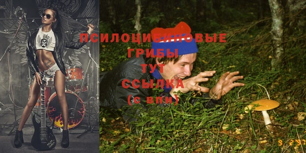 ECSTASY Остров